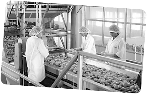 The first Balaji Wafers factory chapter