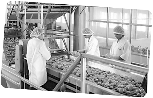 Balaji Wafers record-breaking 2023 chapter
