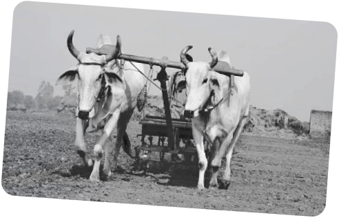 A mid-1970s scene from the Virani family story